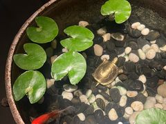 -曲水兰亭(北京四惠店)