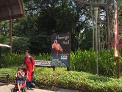 -新加坡飞禽公园