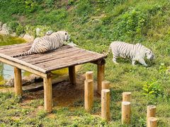 -石家庄市动物园