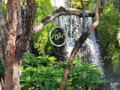 -Chom Cafe and Restaurant