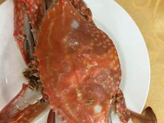 海岛渔村大酒店-海岛渔村大酒店(云霄路店)
