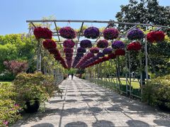 -上海滨江森林公园