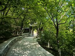 -佛慧山
