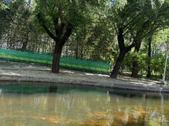 -泰丰公园