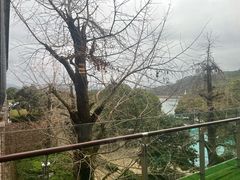 -逸廊大堂吧-下午茶·简餐-千岛湖自由洲际殿