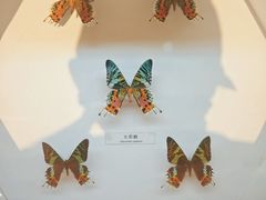 -青藏高原自然博物馆