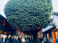 -三坊七巷历史文化街区