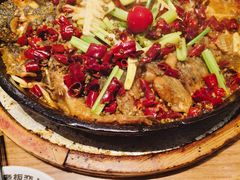 -老板恋上鱼(恒隆广场店)