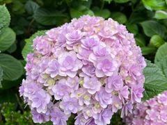 -常州古运河南大街文化旅游区-人民公园