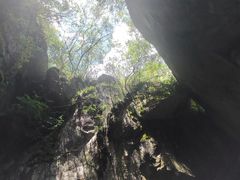 -秦岭终南山世界地质公园翠华山景区