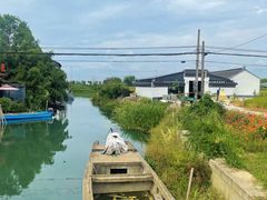 -莲花岛景区