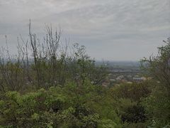 -上海佘山国家森林公园西佘山园