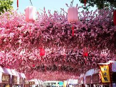 -南汇桃花村