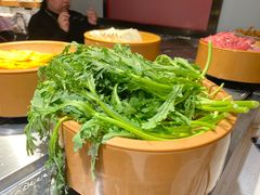 -龍歌自助小火锅(崂山丽达店)