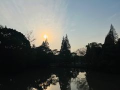 -上海滨江森林公园