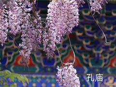 -孔庙和国子监博物馆