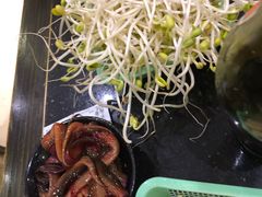 -肥龙火锅(南坪店)