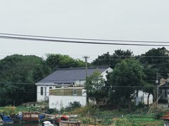 -莲花岛景区