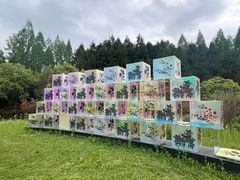 -东平国家森林公园