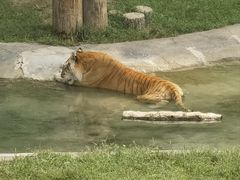 -济南野生动物世界