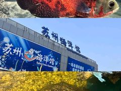 -苏州海洋馆