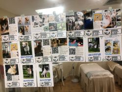 -轻妆Feel·半永久纹眉眼线