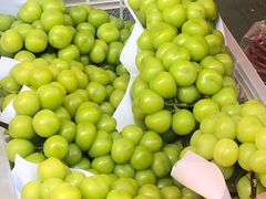 -南京众彩农副产品配送有限公司