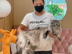 -Double Rui宠物酒店