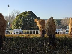 -常州奔牛国际机场