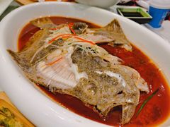 清蒸多宝鱼-金蝉食府(维吉奥广场店)
