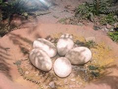 -湖南省地质博物馆