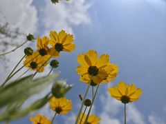 -济南国际园博园