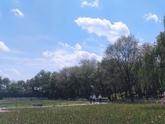 -北陵公园