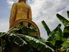 -西双版纳总佛寺