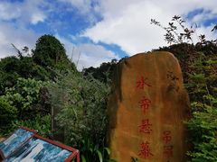 -海南热带雨林国家公园吊罗山景区
