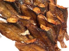 -码头鲜精致威海菜(欧乐坊店)