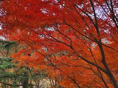-崂山九水游览区