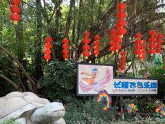 -广州长隆飞鸟乐园