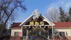 -酷酷兔少儿拓展天地