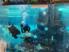 -鸿通城购物中心