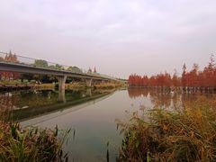 -白鹭湾湿地公园