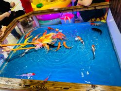 -贝贝乐儿童亲子游乐园(新塘大润发店)