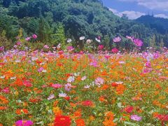 -贵阳市花溪国家城市湿地公园