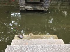 -南岳衡山风景名胜区-南岳大庙