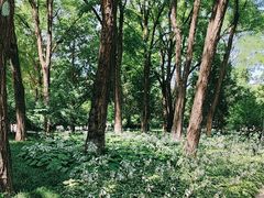 -玲珑塔公园