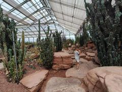 -南通洲际绿博园