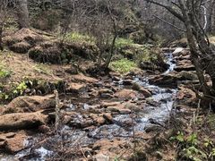 -秦岭风景区