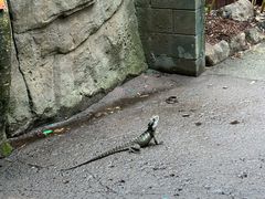 -可伦宾野生动物保护区