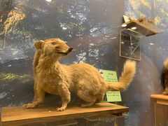 -下渚湖国家湿地公园科普馆