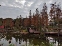 -映月湖公园